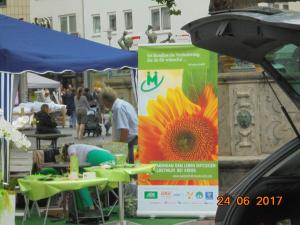 Eine weitere SHg zum Thema Krebs